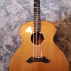 Breedlove Custom Shop Jumbo Guitar