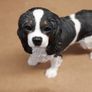 Dog ornament Image 2