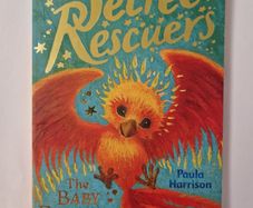 The Secret Rescuers - The Baby Firebird (paperback)