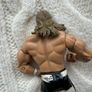 2004 WWE Jakks Pacific Heartbreak Kid Shawn Michaels Wrestling Figure Tan Pants Used Arms are loose Please look at the pictures Image 7