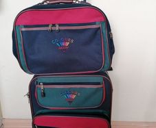 Two piece Antler Luggage