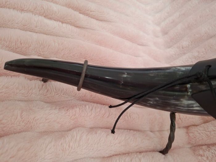 Viking Drinking Horn