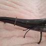Viking Drinking Horn Image 8
