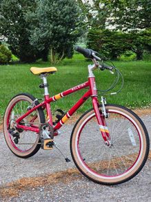 Kids bike Raleigh Pop. Cycle for boys, bike for girls