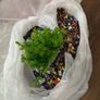 Plastic fish tank Image 3