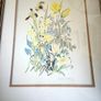 Limited edition botanical print by Jenny Jowett Image 4