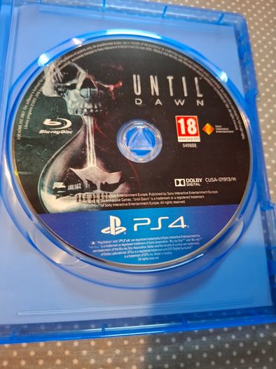 PS4 Until Dawn