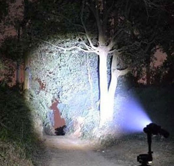 Tactical lantern portable Camp Lumens cree LED Bicycle Light led Flashlight
