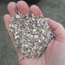 1kg Crushed Oyster Shells - Decorative Pot Topper Image 2