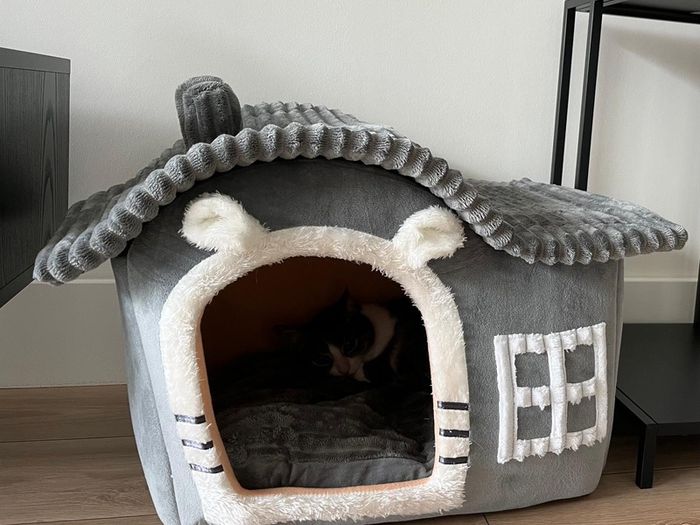 House / Bed for cats