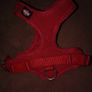 dog harness x2 Image 3