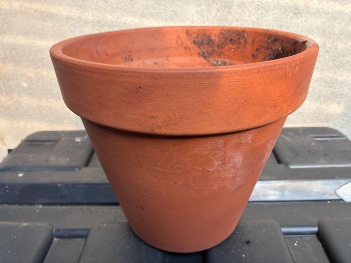 Terracotta flower pot