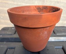 Terracotta flower pot
