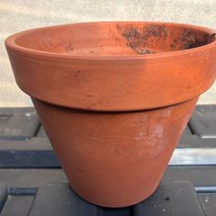 Terracotta flower pot