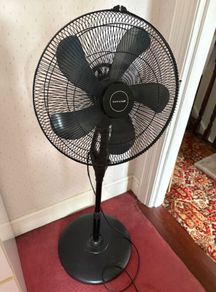 Pedestal Fan