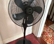 Pedestal Fan