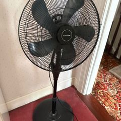 Pedestal Fan