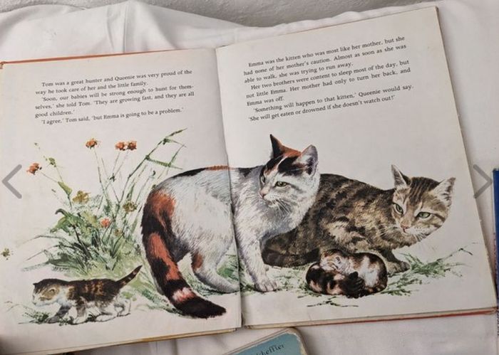 Beautiful Lot of Vintage Children books