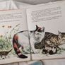 Beautiful Lot of Vintage Children books Image 3