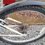 Imagine force 20inch bike Image 5