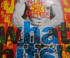 Red Hot Chilli Peppers - What Hits?