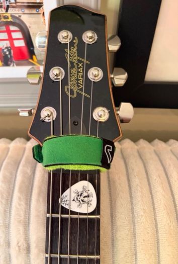 Line 6 James Tyler Jtv-59 (emg / Schaller Upgrades)