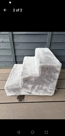 Dog or cat steps