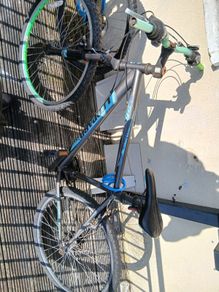 Free bike
