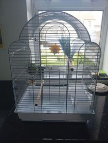 Birdcage