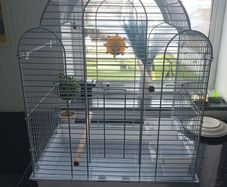 Birdcage