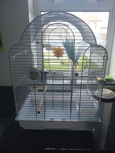 Birdcage