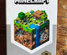 Minecraft Books