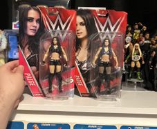 Paige boxed basic wwe figures