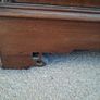 Antique Mahogany Wardrobe Image 4