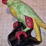 Vintage parrot - Westminster Hanley, Staffs Image 6