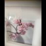 Framed Floral Print Image 4
