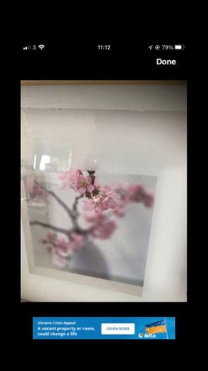 Framed Floral Print