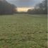 marla-grace