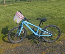 Ridgeback 20" bike