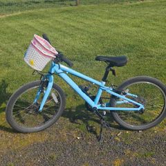Ridgeback 20" bike