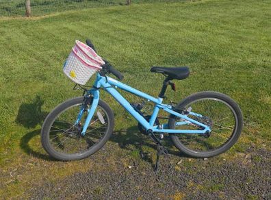 Ridgeback 20" bike