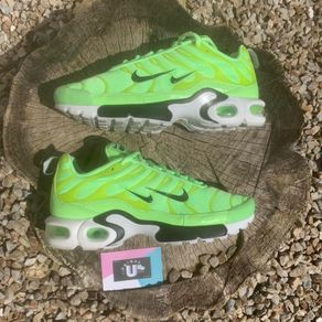 Get 1 of 1 Nike Air Max TN
