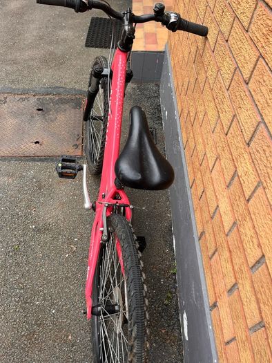 girls bicycle ridgeback