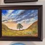Sycamore Gap Tree Image 2