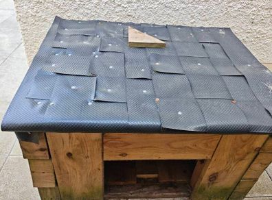 kennel