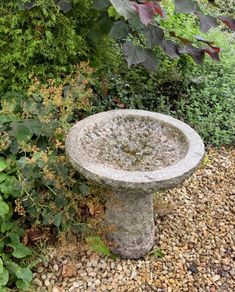 Bird bath