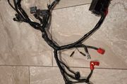 Honda cb125f 2021 - 2024 wiring loom