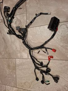 Honda cb125f 2021 - 2024 wiring loom