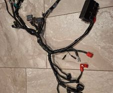 Honda cb125f 2021 - 2024 wiring loom