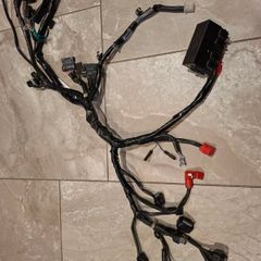 Honda cb125f 2021 - 2024 wiring loom
